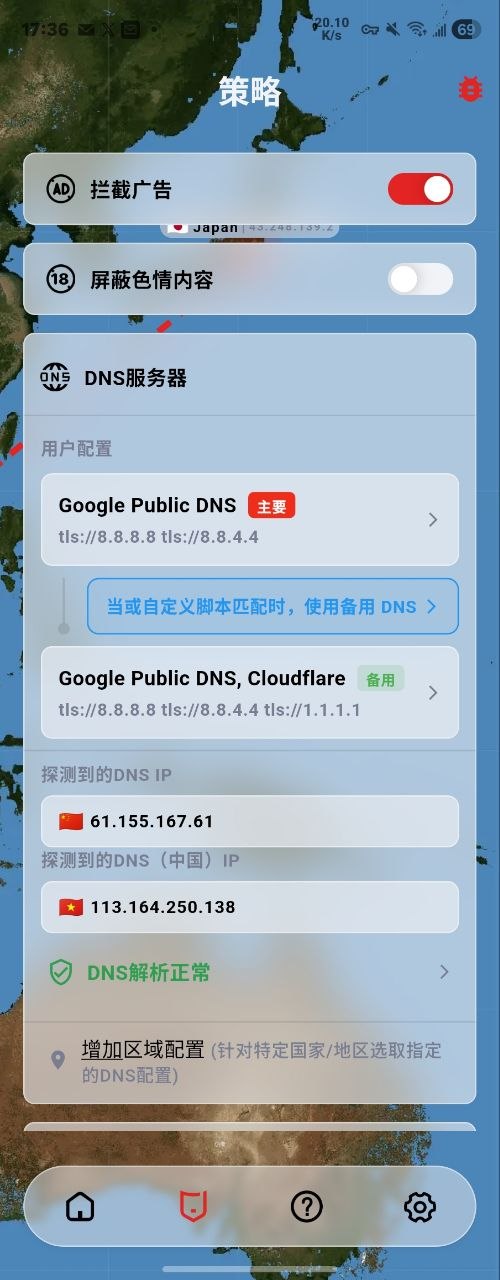 DNS settings screen example